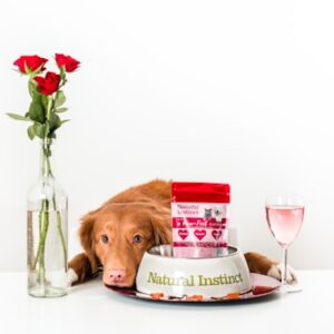 Organic Pet Shampoo