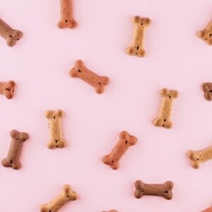 Premium Dog Food