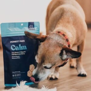 Dog Training Pads